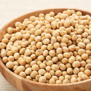 Peptidi da Soia Naturale 